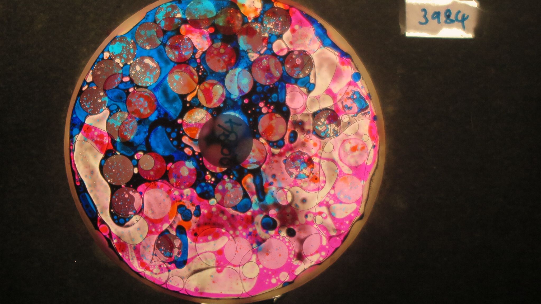 BV3984 bubble vision oil wheel